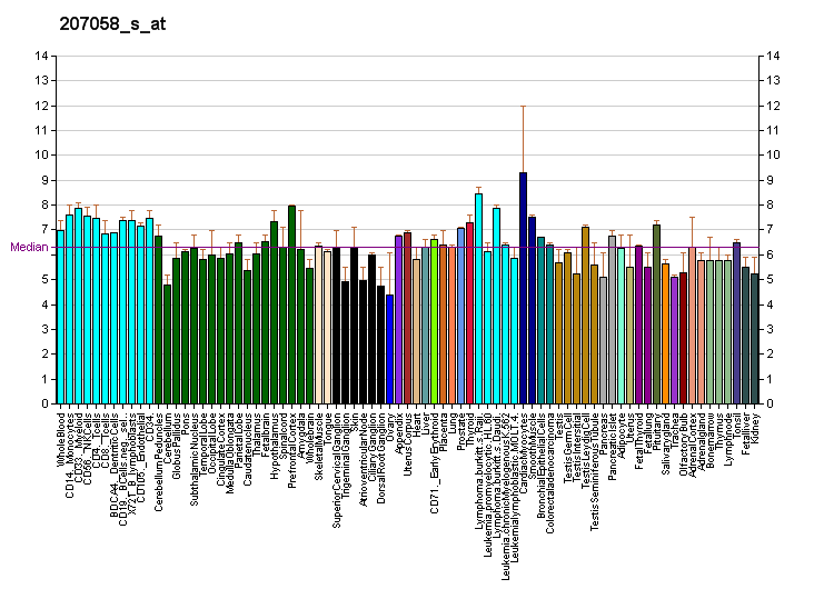 File:PBB GE PARK2 207058 s at fs.png