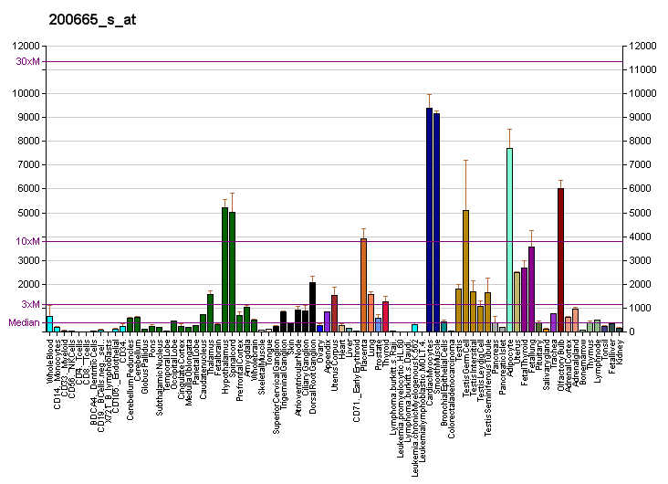 File:PBB GE SPARC 200665 s at fs.png