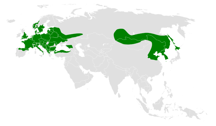 File:Poecile palustris distribution map.png