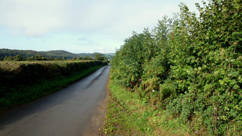 File:Highmoor Lane - geograph.org.uk - 4209244.jpg