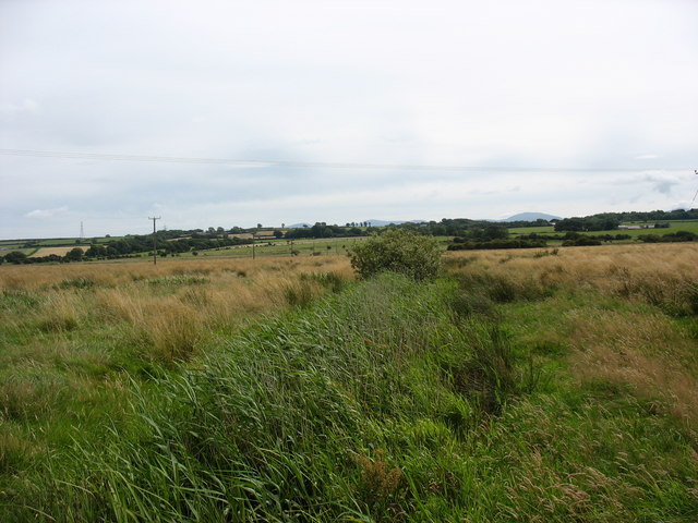 File:Drainage ditch - geograph.org.uk - 515468.jpg