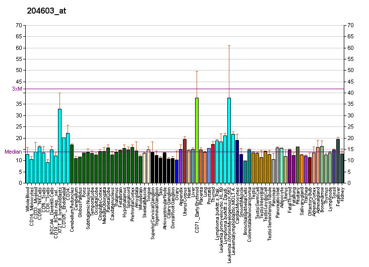 File:PBB GE EXO1 204603 at fs.png