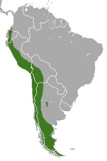 Culpeo range