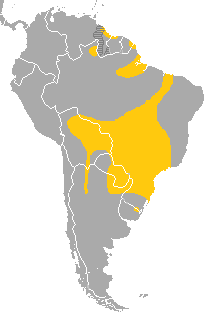 Distribución del Ramphastos toco