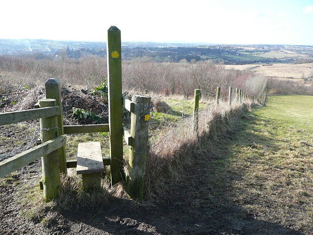 File:Footpath into part of Soothill Wood - geograph.org.uk - 1746868.jpg