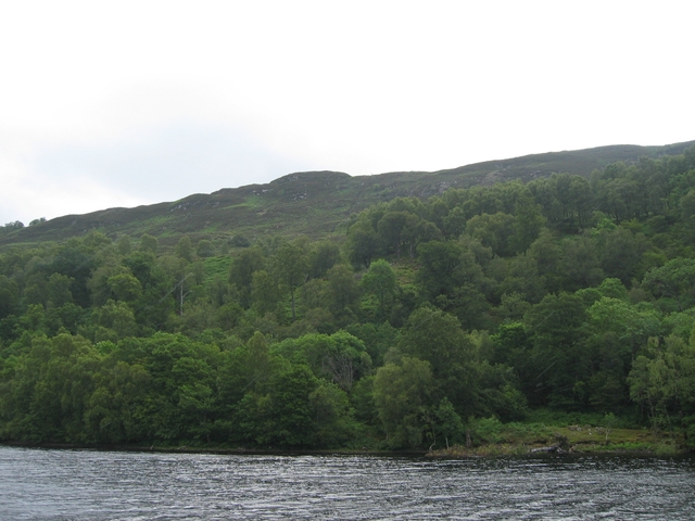 File:Woodland south of Loch Oich - geograph.org.uk - 488571.jpg