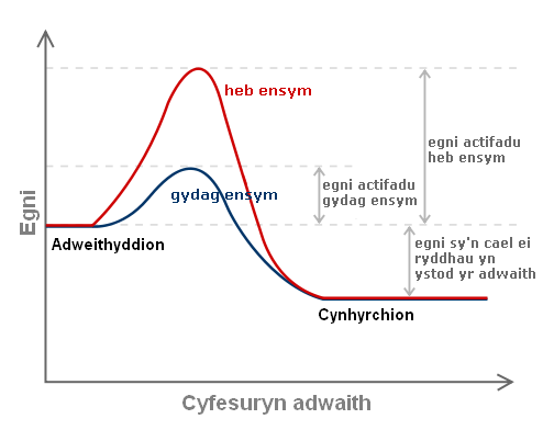 Delwedd:Egni Actifadu.PNG