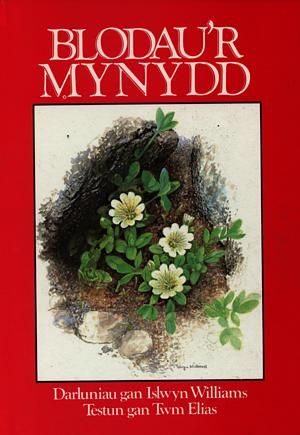 Delwedd:Blodau'r Mynydd (llyfr).jpg