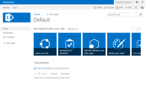 Standard-Teamsite in SharePoint 2013