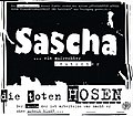 Frontcover zu Sascha … ein aufrechter Deutscher