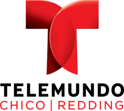 File:Telemundo 17 Logo.png