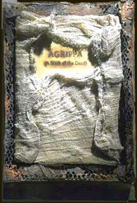 Image constructed for this work by a graphic artist. It shows a decayed book-shaped object delicately wrapped in mesh cloth.