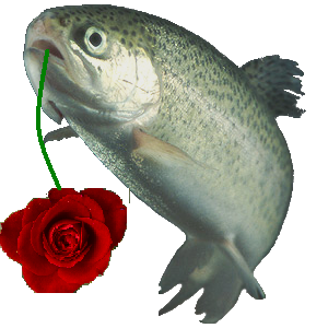 File:Rainbow trout Rose.png