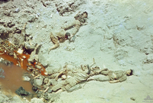 The boodies of a number of Asian soldiers wearing khaki and webbing lie dead in a bomb crater filled with water which is coloured red.