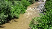 South fork of Battle Creek in June 2016 downstream of industrial timberland after one inch of rain