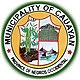 Official seal of Cauayan