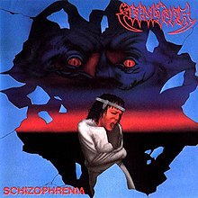 The artwork (possibly done with airbrush) gives a view through a recently broken window (pieces are still midair) of a man with long stringy hair in a straightjacket. His mouth is open as if shouting and he is wearing some sort of metal headband. Behind him there is a horizon in the red crepuscular phase and in the sky above, as if formed from the clouds, there is an image of the top half of a grey face with red eyes that have vertical slit pupils whose gaze is focused on the man. The band name "Sepultura" is written in red-outline font in the upper right hand corner and the album name "Schizophrenia" is written in uppercase in a filled-in red wavy partially-double-image font in the lower left.