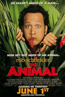 Rob Schneider's head appearing from behind long grass with a leopard-printed shirt also seen behind it. A red feather is sticking out from between his lips.