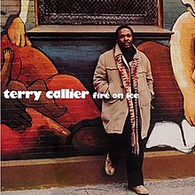 Terry Callier - Fire on Ice.jpg