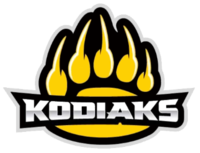 Team logo