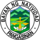 Official seal of Natividad