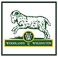 Woodlands Wellington FC crest, 1996–2002