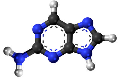 2-Amino-purino