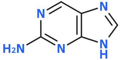 2-Amino-purino