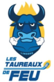 Logo de 2014 à 2021.