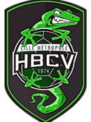 Logo du Handball Club Villeneuve d'Ascq