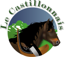 Logo représentant la tête d'un cheval bai de profil entouré d'un fond rond bleu et vert au-dessus duquel est marqué « le Castillonnais ».