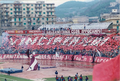 Coreografia in occasione di Salernitana-Cavese del 1986