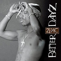 Better Dayz Cover