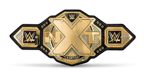 ไฟล์:NXT Championship 2017.png