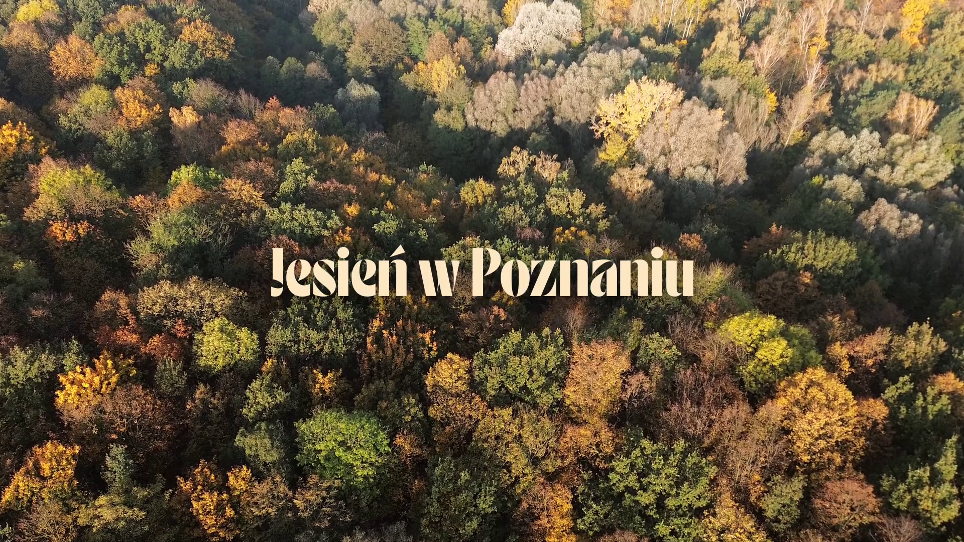 Jesień w Poznaniu