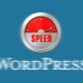 Mehr Speed für WordPress: 5 Caching-Plugins im Überblick