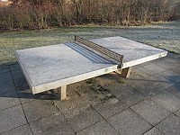 Table tennis table.jpg