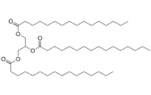 Optimizing oil production by microalgae by taking inspiration from a Drosophila enzyme