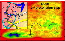 Simulate the reactivity of enzymes