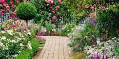 a home garden with flowers