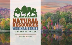 Natural Resources Webinar Series