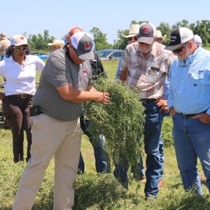 A group of people talking at the 2019 Alfalfa Conference