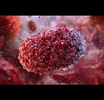 Monkeypox virus, a zoonotic orthopoxvirus causing a smallpox illness. Viral structure of the pathogen monkeypox, variola mpox virus disease. Credit: Corona Borealis