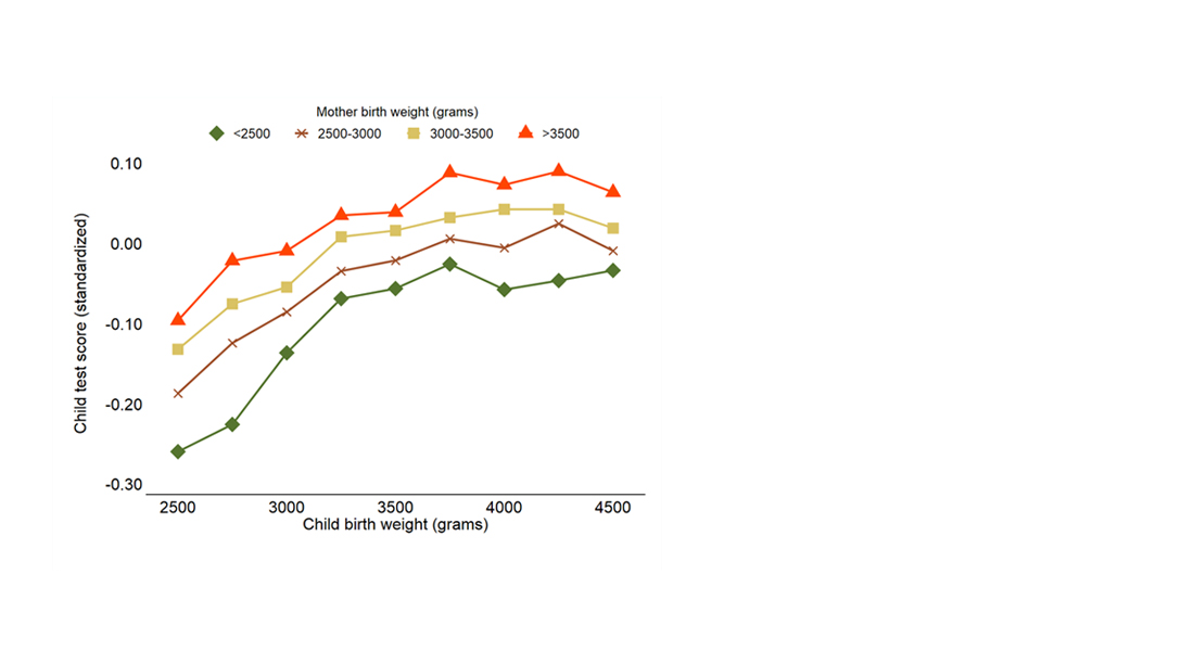 Figure: Inequalities at birth persist into the next generation