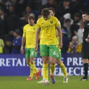 Norwich City slipped to a late Championship defeat at Cardiff City