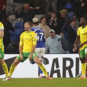 Norwich City were left frustrated by a late defeat to Cardiff.