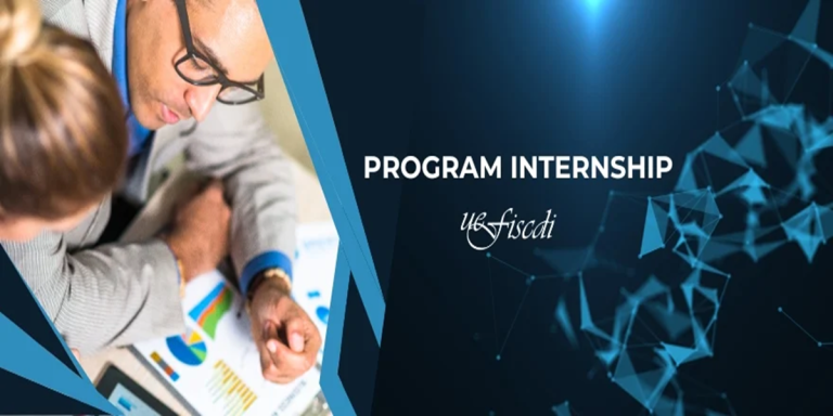 Program Internship UEFISCDI