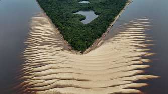 Dem Amazonas-Gebiet droht die Versteppung