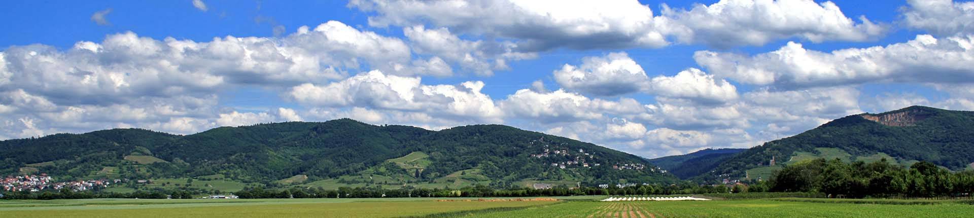 Katholisches Dekanat Heidelberg-Weinheim / Quelle:  Peter Wegener