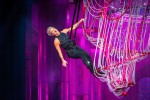 'Get The Party Started' - und 60.000 schauten zu!, Olympiastadion Berlin, 2019 | © laut.de (Fotograf: Rainer Keuenhof)